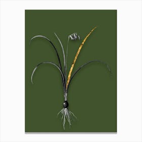 Vintage Brimeura Black and White Gold Leaf Floral Art on Olive Green n.0800 Canvas Print