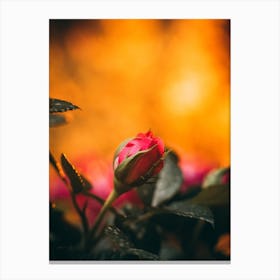 Poster Flower Art Print 15 Canvas Print