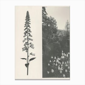 Foxglove Flower Photo Collage 3 Canvas Print