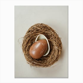 Egg In A Nest Canvas Print