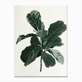 Fig Leaf Canvas Print