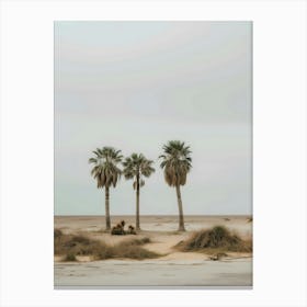 Three Palm Trees In The Desert Canvas Print