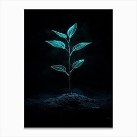 Plant In The Dark 1 Canvas Print