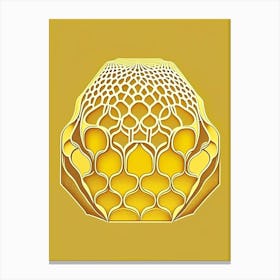 Yellow Beehive 5 Vintage Canvas Print