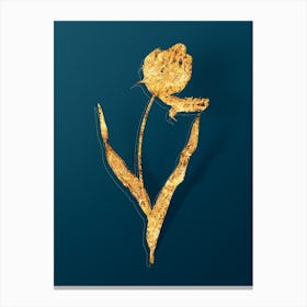 Vintage Didier's Tulip Botanical in Gold on Teal Blue n.0362 Canvas Print