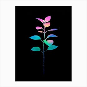 Rainbow Plant 6 Canvas Print