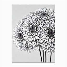 Chrysanthemums B&W Pencil 2 Flower Canvas Print