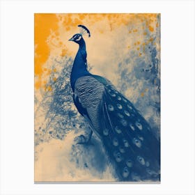 Orange & Blue Peacock In A Snow Scene 2 Canvas Print