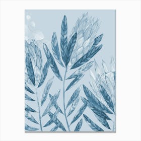 Blue Proteas Canvas Print Canvas Print