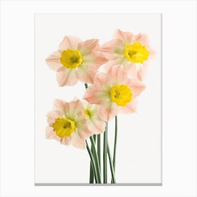 Bunch Of Daffodils Flowers Acrylic Painting In Pastel Colours 6 Canvas Print