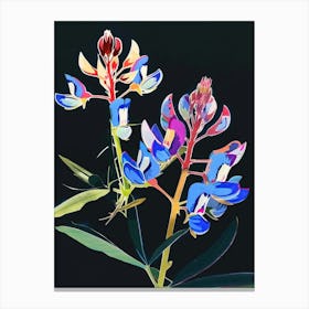 Neon Flowers On Black Bluebonnet 4 Canvas Print