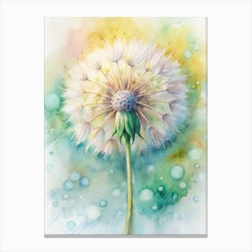 Dandelion 1 Canvas Print