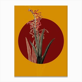 Vintage Botanical Antholyza Aethiopica on Circle Red on Yellow n.0270 Canvas Print