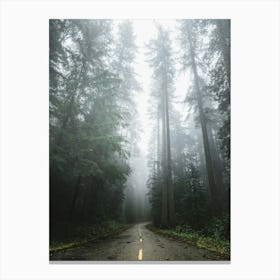 Forest Dreams- Redwood Park Road Canvas Print
