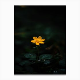 Yellow Flower In The Dark 6 Canvas Print