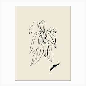 Beige Plant Canvas Print