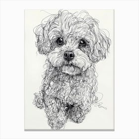 Bichon Frise Dog Line Drawing Sketch 2 Canvas Print