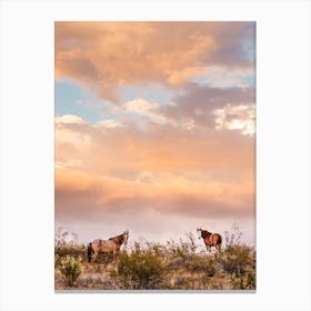 Arizona Wild Horses At Sunset Canvas Print