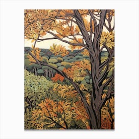Black Locust 2 Vintage Autumn Tree Print  Canvas Print