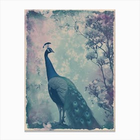 Vintage Peacock In The Trees Cyanotype Inspired 3 Canvas Print