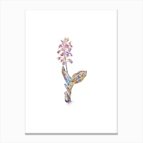Stained Glass Brown Widelip Orchid Mosaic Botanical Illustration on White n.0308 Canvas Print