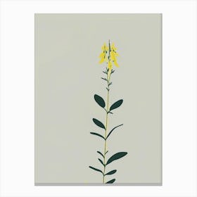 Fringed Loosestrife Wildflower Simplicity Canvas Print