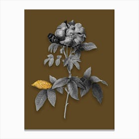 Vintage Provins Rose Black and White Gold Leaf Floral Art on Coffee Brown n.1237 Canvas Print
