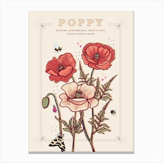 August Birth Flower Poppy On Cream Canvas Print
