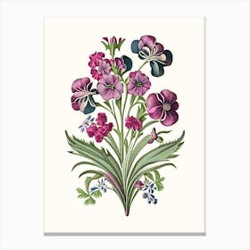 Sweet William 3 Floral Botanical Vintage Poster Flower Canvas Print