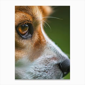 Close Up Of A Dog'S Face.Generated AI. Wall Art Print Canvas Print