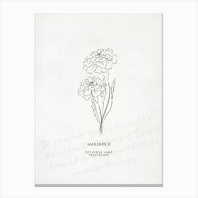Marigold Birth Flower | Antique Canvas Print