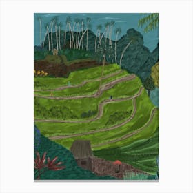 Bali Rice Terraces Canvas Print