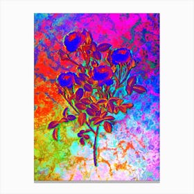 Burgundian Rose Botanical in Acid Neon Pink Green and Blue n.0290 Canvas Print