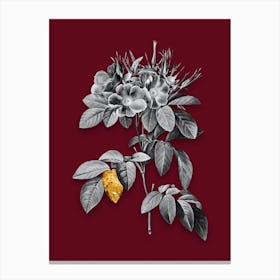 Vintage Pasture Rose Black and White Gold Leaf Floral Art on Burgundy Red n.0657 Canvas Print