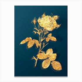 Vintage White Provence Rose Botanical in Gold on Teal Blue Canvas Print