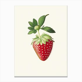 Strawberry Plant,, Fruit, Marker Art Illustration 3 Canvas Print