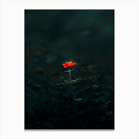 Single Flower In The Dark 86 Canvas Print