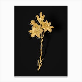 Vintage Madonna Lily Botanical in Gold on Black n.0461 Canvas Print