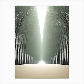 Path Through The Trees Canvas Print