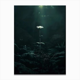 Flower In The Dark 11 Canvas Print