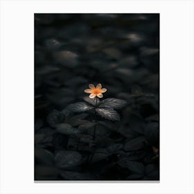 Single Flower In The Dark 76 Canvas Print