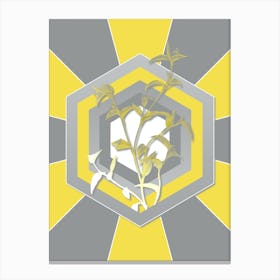 Vintage Commelina Africana Botanical Geometric Art in Yellow and Gray n.301 Canvas Print