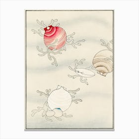 Shell Fish Illustration, Shin Bijutsukai Canvas Print