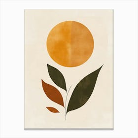 Oranges And Leaves Canvas Print