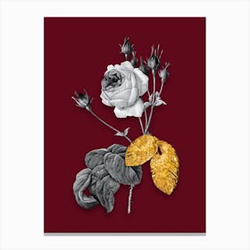 Vintage Cabbage Rose Black and White Gold Leaf Floral Art on Burgundy Red n.0343 Canvas Print