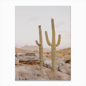 Pastel Arizona Sunset Canvas Print