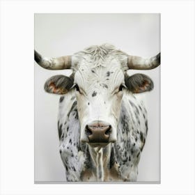 Longhorn Bull 3 Canvas Print