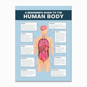 Beginner'S Guide To The Human Body Canvas Print