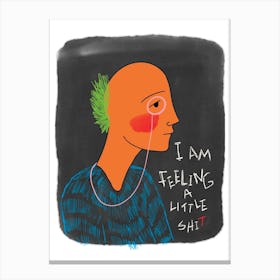 I Am Feeling A Little Shit Canvas Print