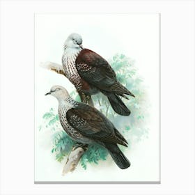 Two Pigeons Canvas Print